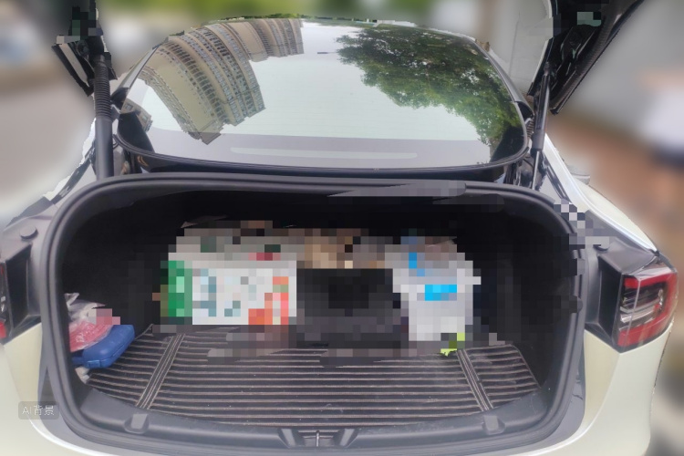 Tesla Model 3 2021 car image #21
