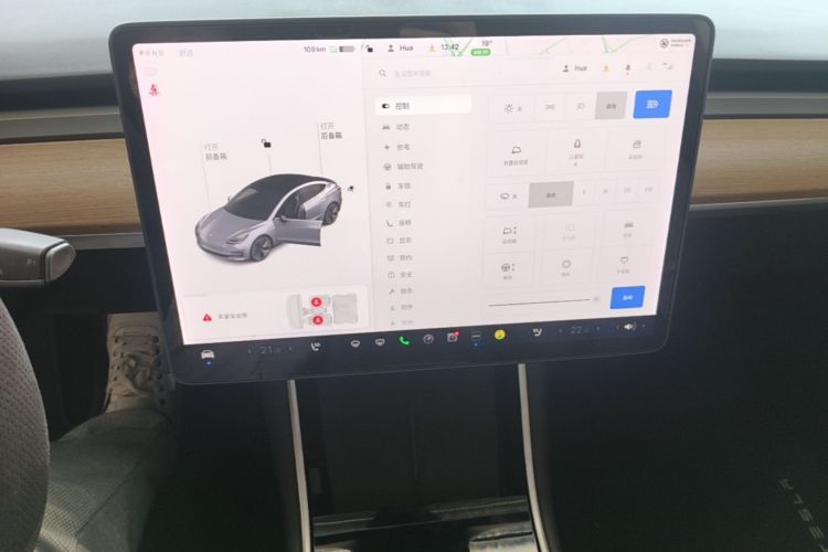 Tesla Model 3 2020 car image #15