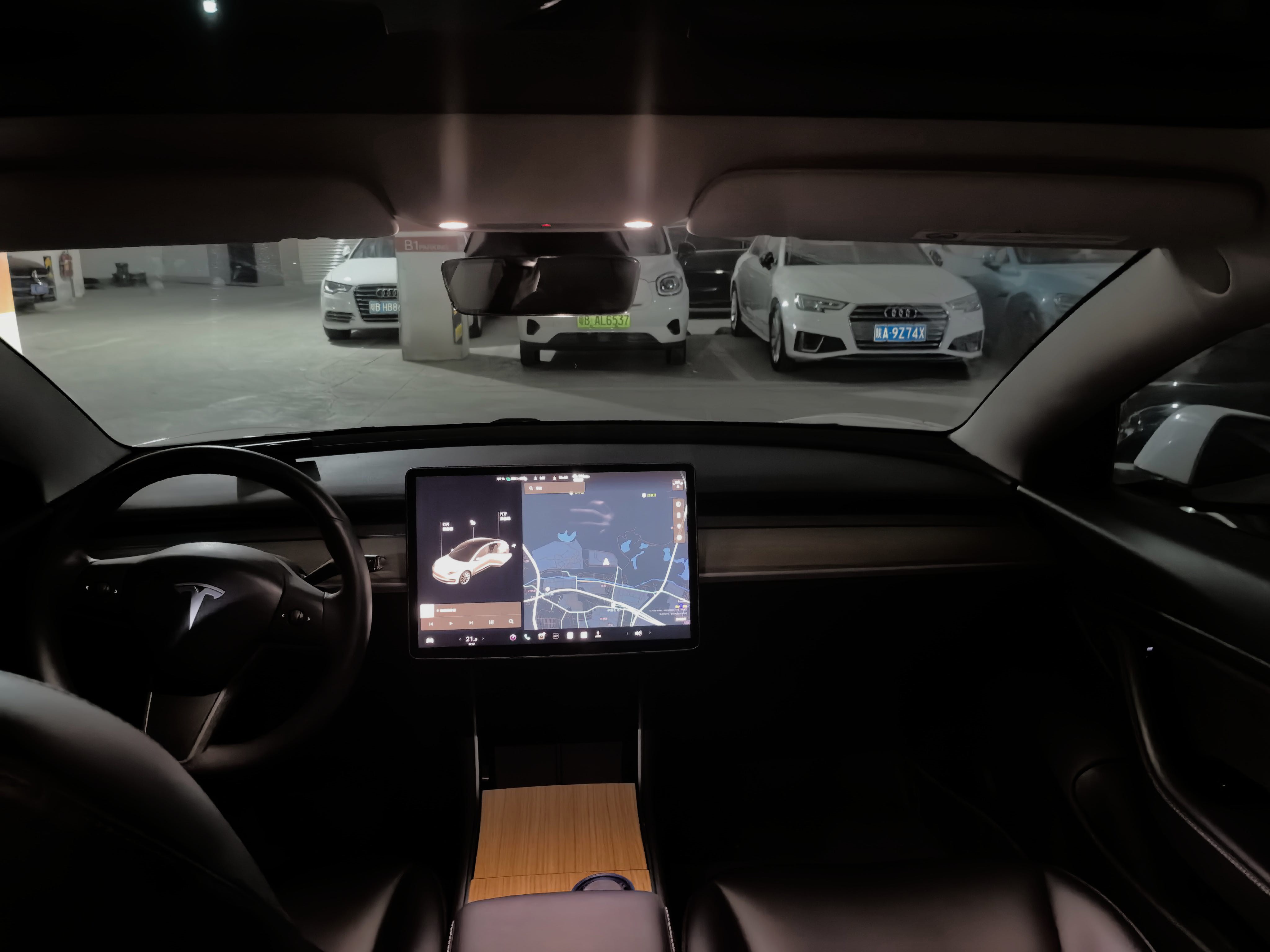 Tesla Model 3 2020 immagine di auto #3