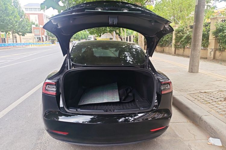 Tesla Model 3 2021 car image #19