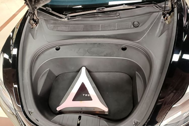 Tesla Model 3 2021 car image #20