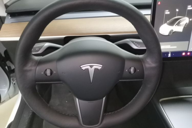 Tesla Model 3 2021 car image #11