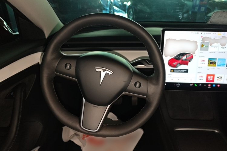 Tesla Model 3 2021 #11 Tesla Model 3 2021 car image #11