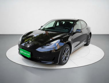 Tesla Model 3 2021 car image 
