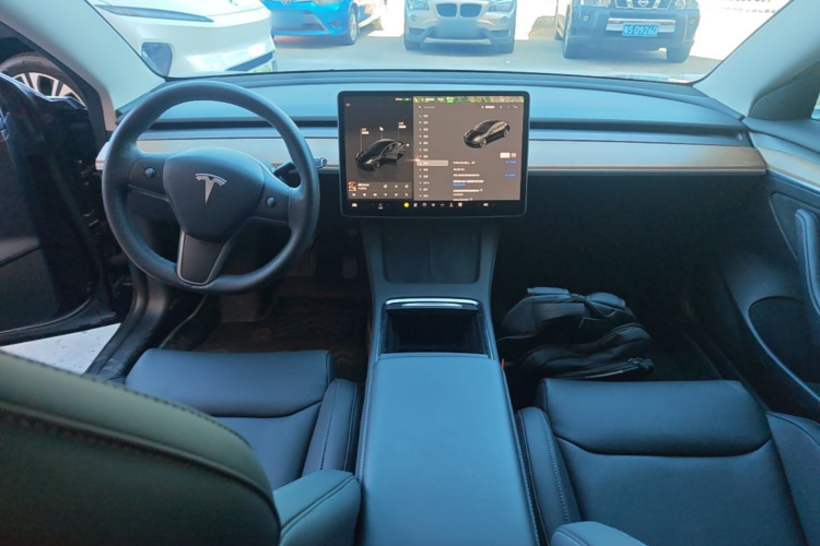 Tesla Model 3 2022 car image #10