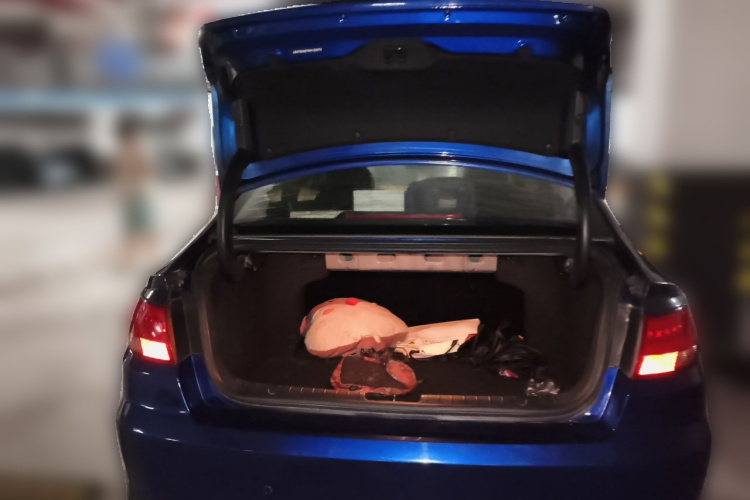 GEELY Emgrand GL 2019 immagine di auto #21