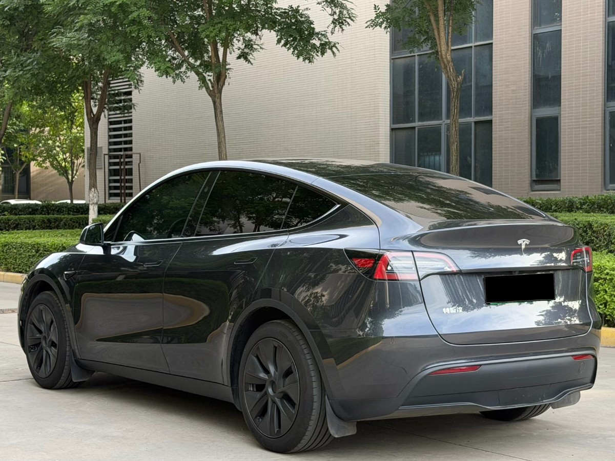Tesla Model Y 2024 car image #10