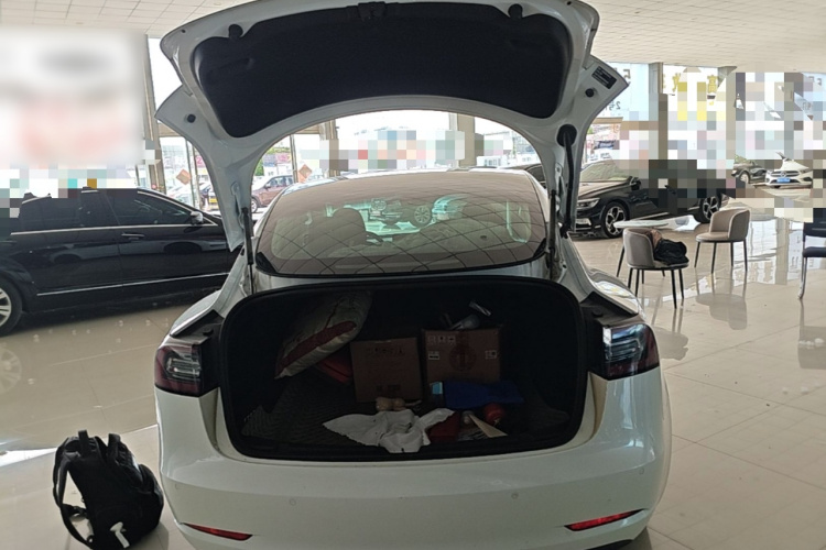 Tesla Model 3 2020 immagine di auto #21