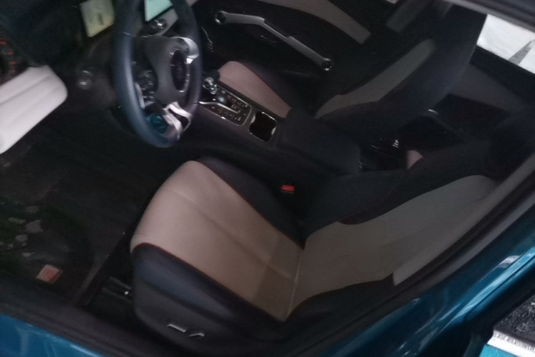 BYD Yuan Plus 2022 car image #19