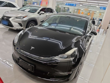 Tesla Model 3 2020 Tesla Model 3 2020 car image