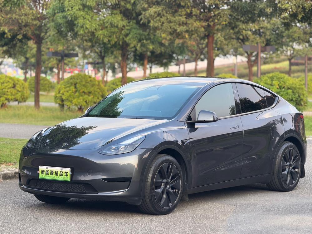 Tesla Model Y 2024 Tesla Model Y 2024 car image