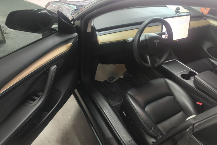 Tesla Model 3 2021 car image #16