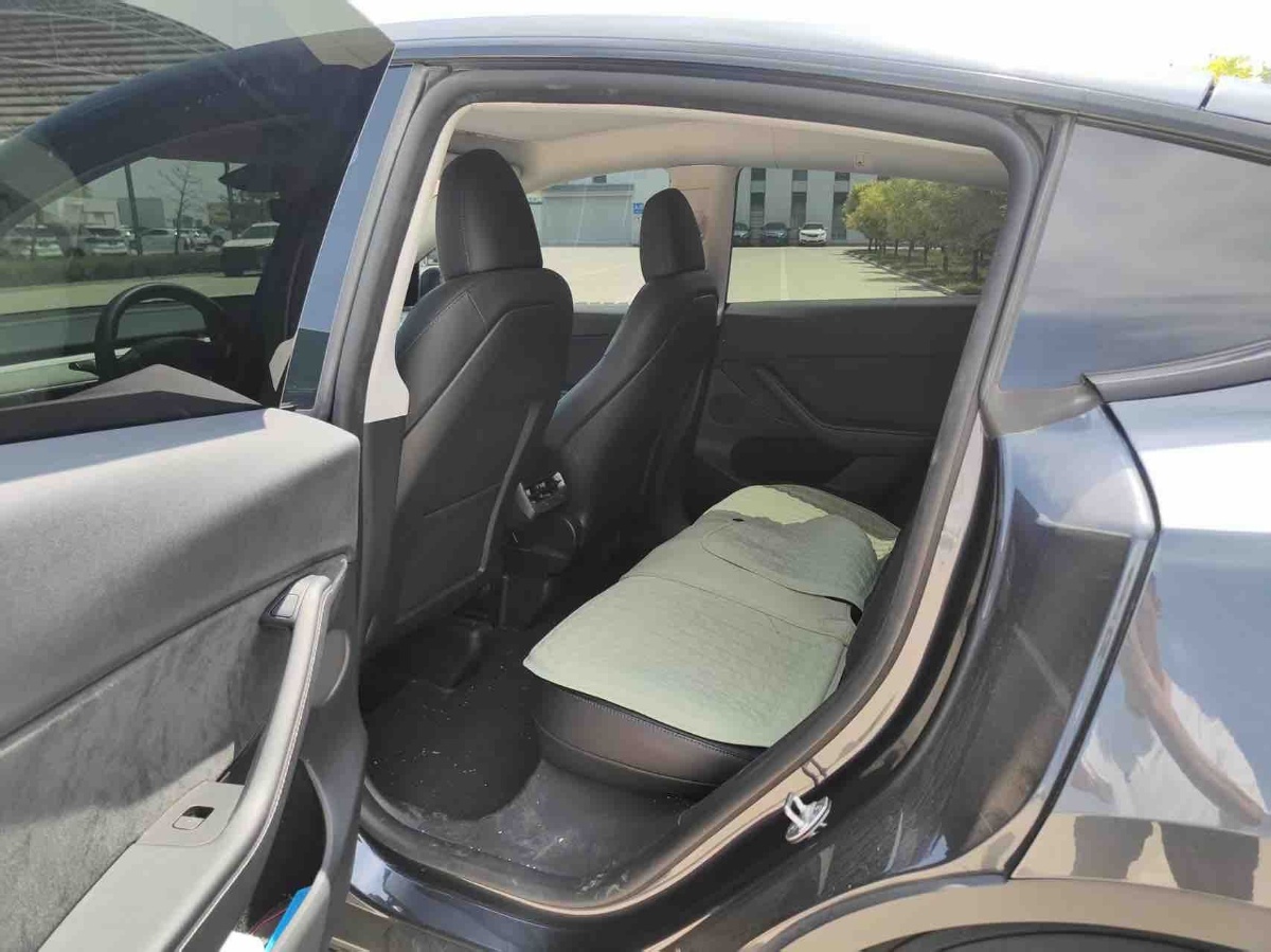 Tesla Model Y 2024 car image #3