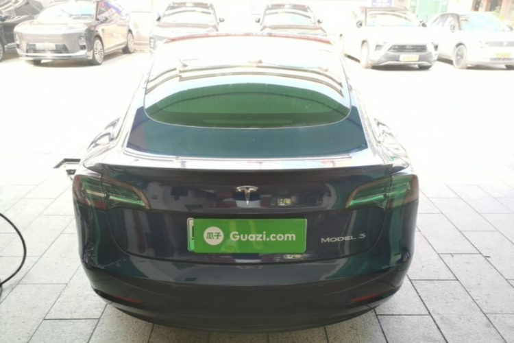 Tesla Model 3 2020 car image #6