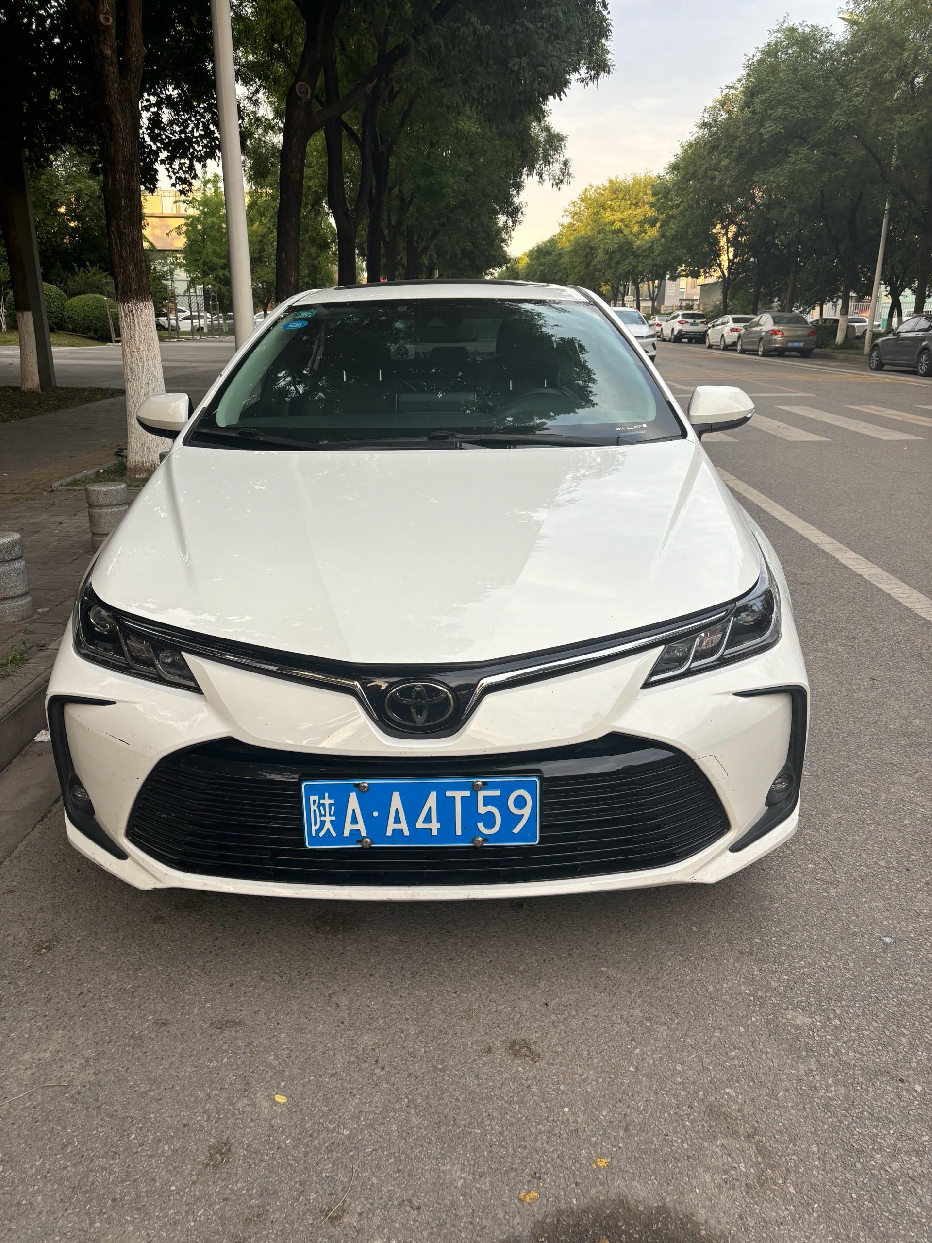 Toyota Corolla 2019 #2 Toyota Corolla 2019 imagen de coche #2