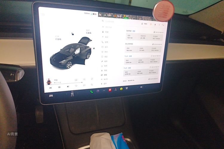 Tesla Model Y 2021 car image #15