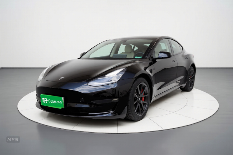 Tesla Model 3 2021 #2 Tesla Model 3 2021 car image #2