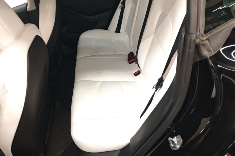 Tesla Model 3 2022 car image #17