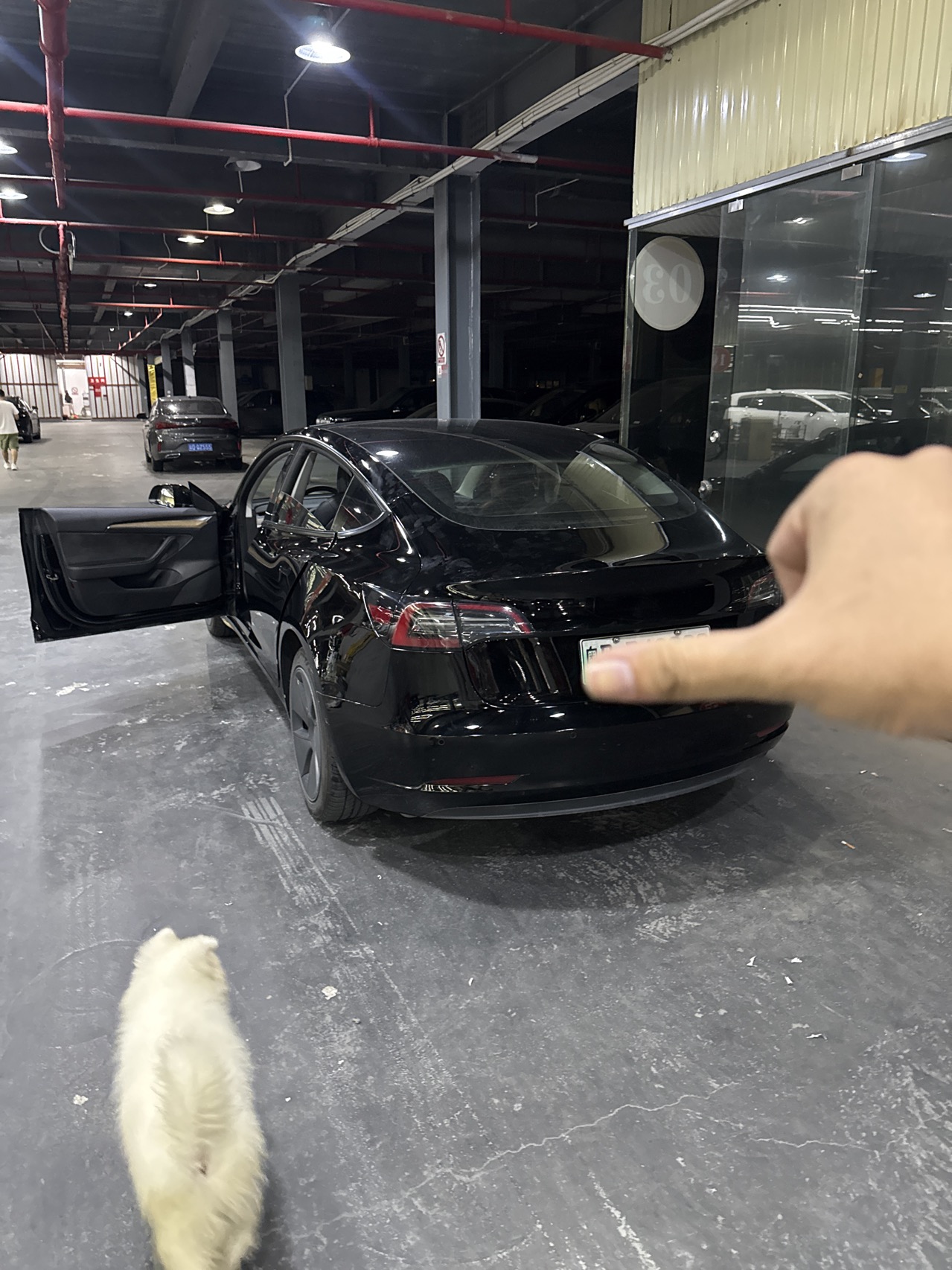 Tesla Model 3 2021 #5 Tesla Model 3 2021 car image #5