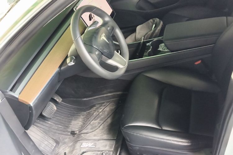 Tesla Model 3 2020 car image #15
