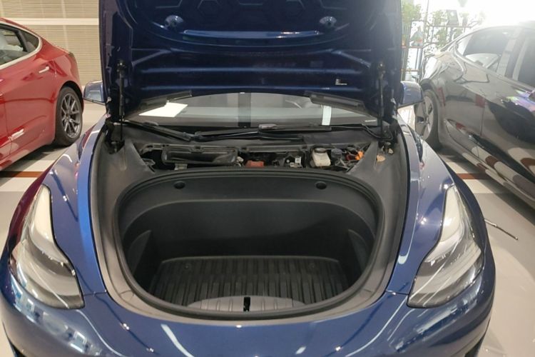Tesla Model 3 2021 #20 Tesla Model 3 2021 car image #20