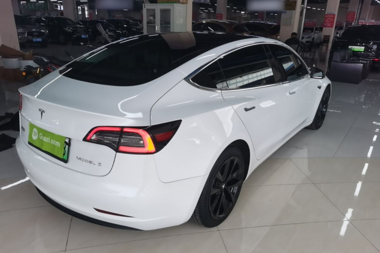 Tesla Model 3 2020 car image #7