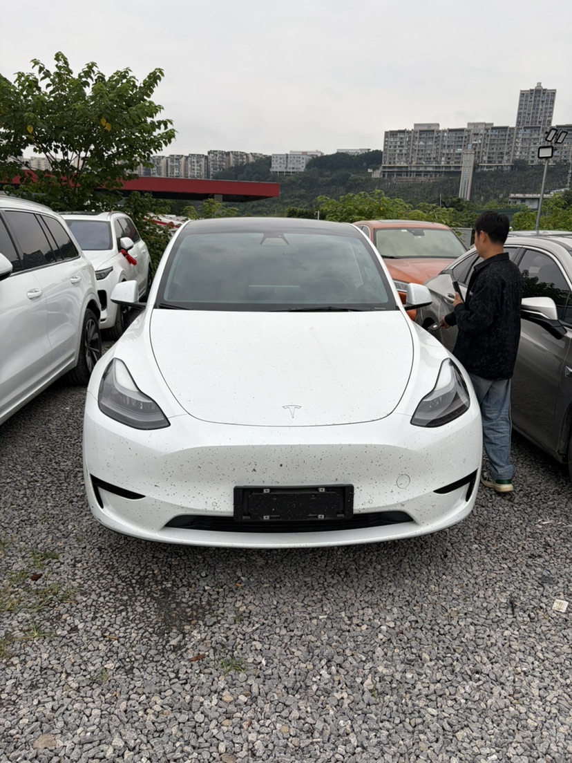 Tesla Model Y 2022 car image #2