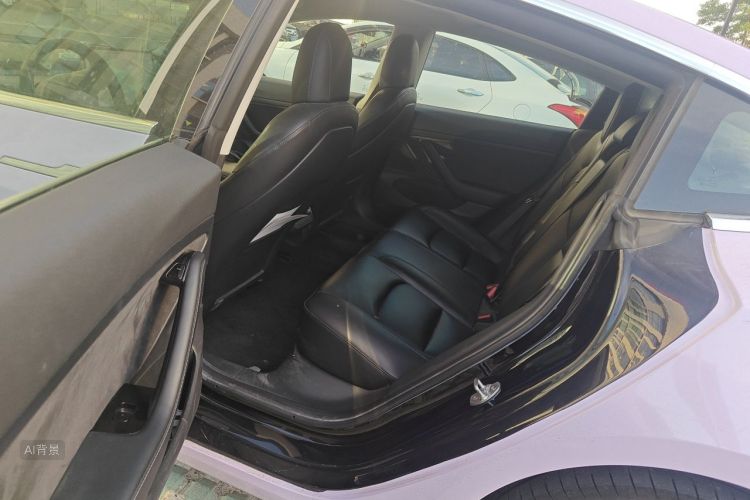 Tesla Model 3 2020 car image #19