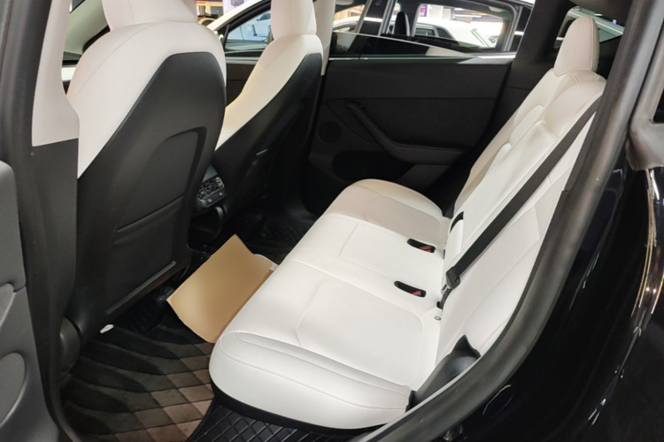 Tesla Model Y 2022 car image #13