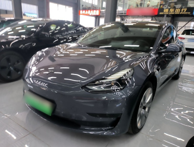 Tesla Model 3 2022 car image 
