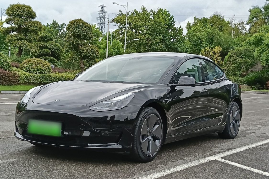 Tesla Model 3 2023 Tesla Model 3 2023 car image