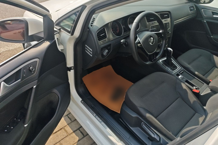 Volkswagen Golf 2016 car image #16