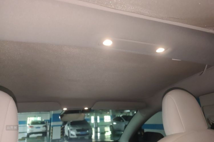 Tesla Model 3 2020 immagine di auto #20