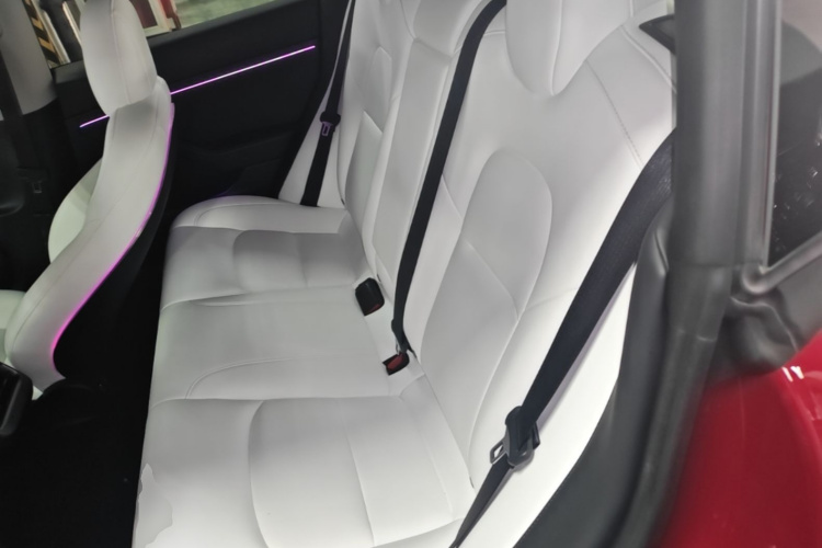 Tesla Model 3 2023 car image #17
