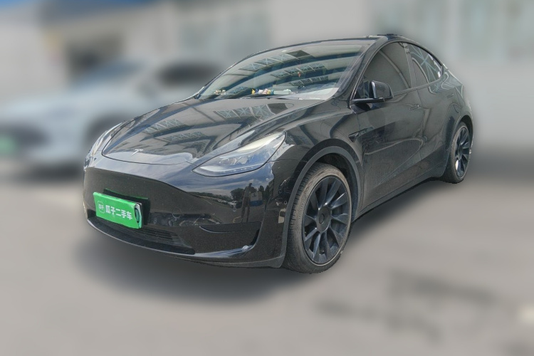Tesla Model Y 2022 car image #2