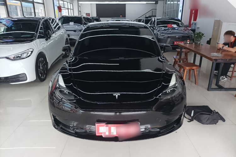 Tesla Model 3 2021 #3 Tesla Model 3 2021 car image #3