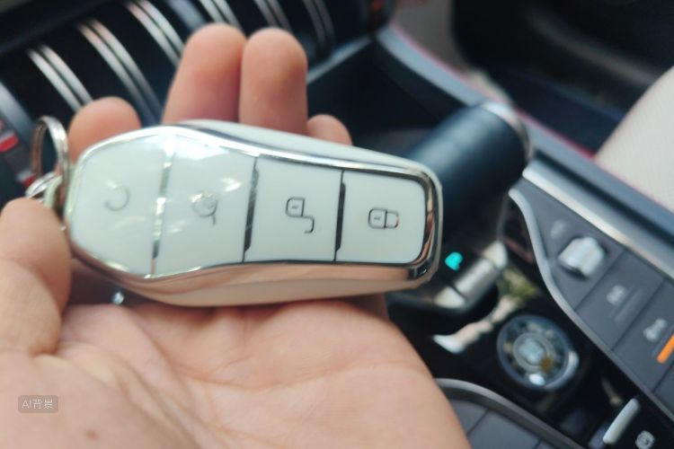 BYD Yuan Plus 2023 car image #10