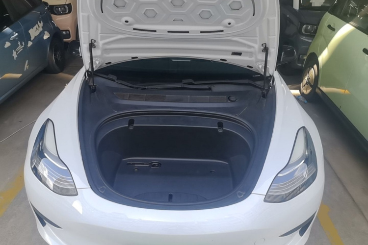Tesla Model 3 2020 #20 Tesla Model 3 2020 car image #20