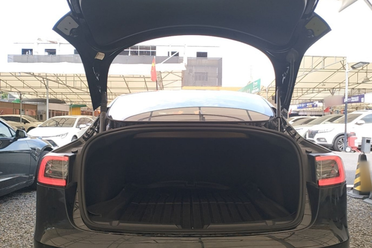 Tesla Model 3 2022 #19 Tesla Model 3 2022 immagine di auto #19
