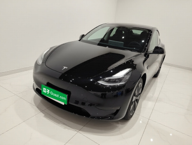 Tesla Model Y 2021 Tesla Model Y 2021 car image
