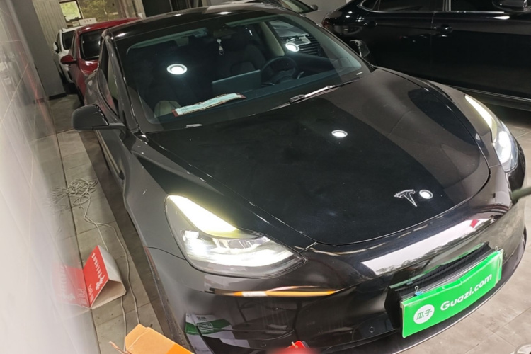 Tesla Model 3 2021 immagine di auto #4