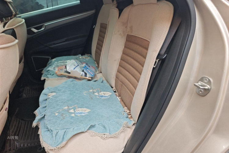 GEELY Emgrand GS 2018 car image #19