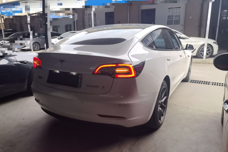 Tesla Model 3 2021 #5 Tesla Model 3 2021 car image #5