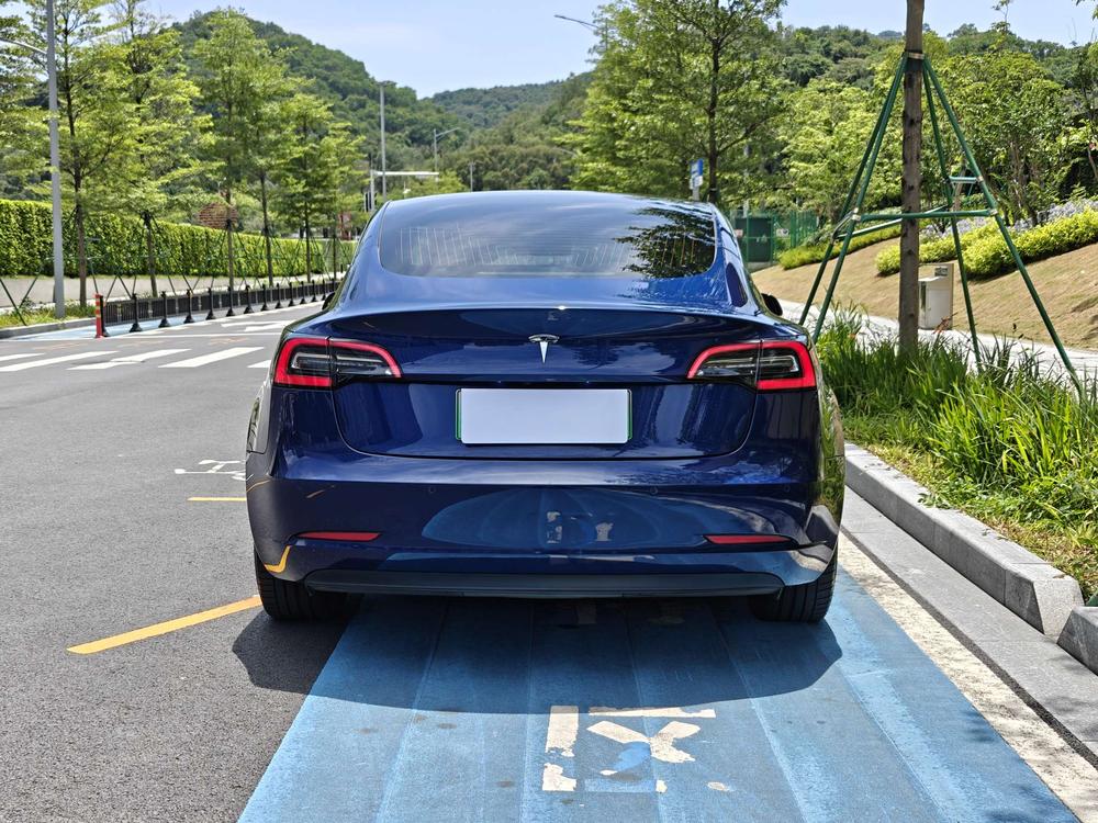 Tesla Model 3 (Imported) 2019 car image #5