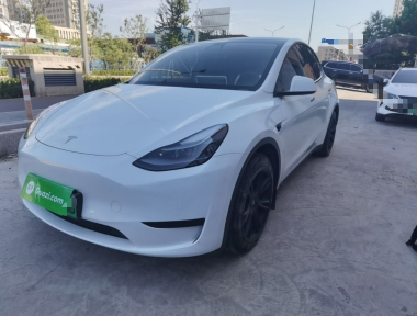 Tesla Model Y 2023 Tesla Model Y 2023 car image