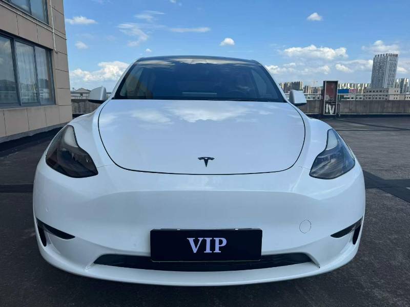 Tesla Model Y 2022 Tesla Model Y 2022 car image