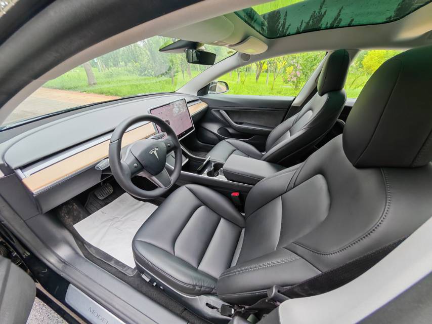 Tesla Model 3 2020 car image #8