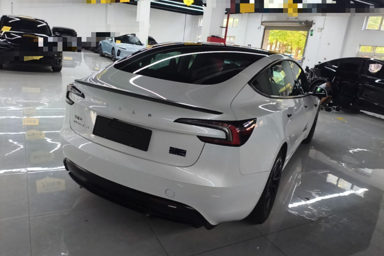 Tesla Model 3 2024 #7 Tesla Model 3 2024 car image #7