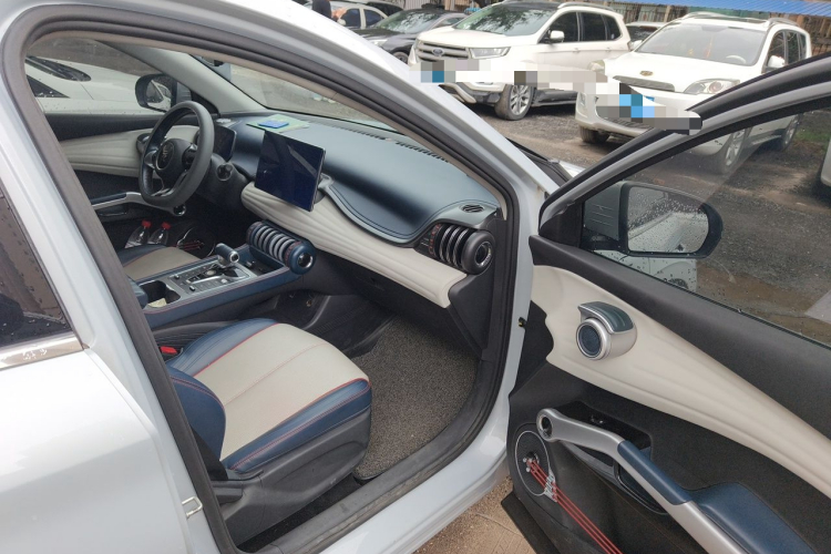 BYD Yuan Plus 2022 #25 BYD Yuan Plus 2022 car image #25