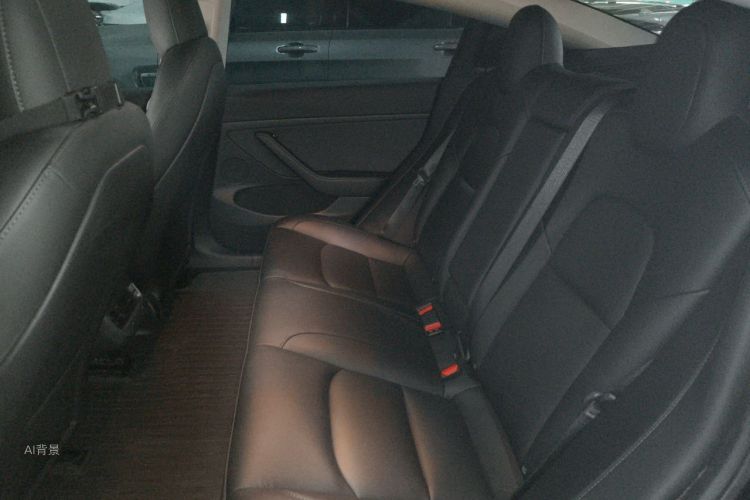 Tesla Model 3 2023 car image #19